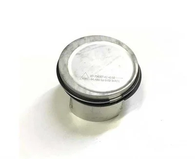 BMW E36 E46 M43 1.6 Segmanlı Piston 0.50 (Takım) 8770220050