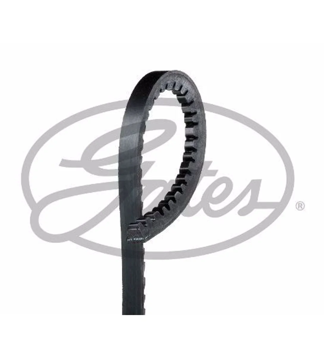 BMW E30 E34 M40 M42 Direksiyon Pompa Kayışı 10x800 6212MC