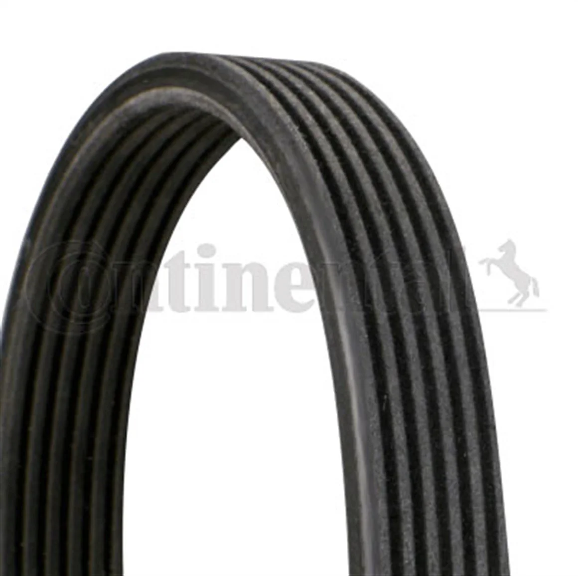 BMW E81 E82 E87 E88 E90 E91 E92 E93 N47 Vantilatör Kayışı 6DPK1697 6DPK1697