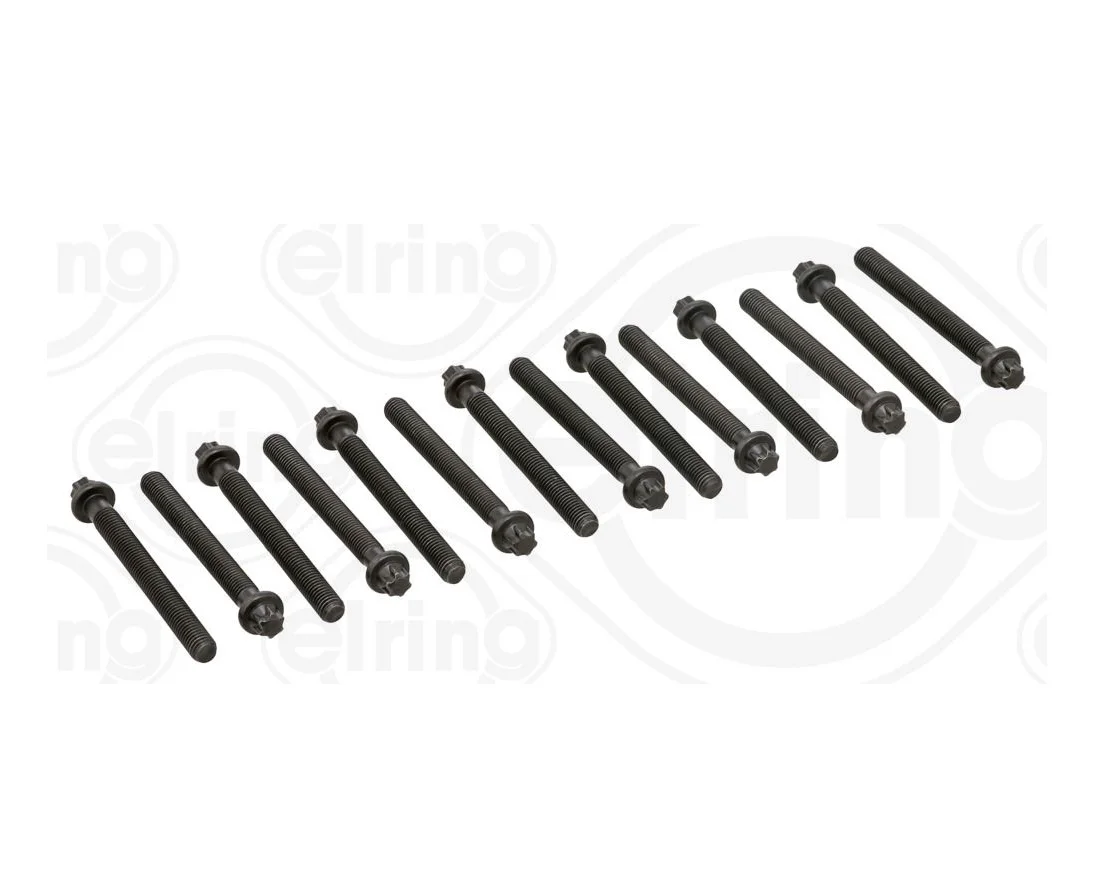 BMW M50 M52 Silindir Kapağı Saplama Seti 802740