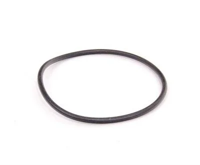 BMW N40 N42 N46 N46N N62 N73 Vakum Pompası Oringi 11667509080