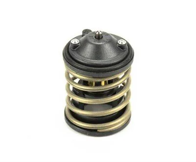BMW MINI N47 N47N N57 N57N Termostat 11518512234
