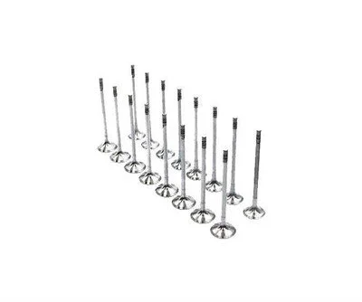 MINI R55 R56 R57 R58 R59 R60 R61 N14 Emme Egzoz Sübap Takım 111215 - 111216