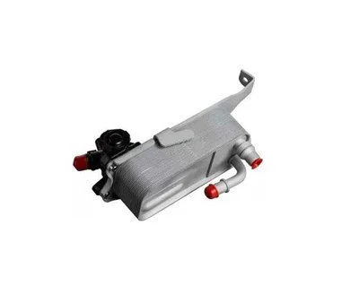 BMW F20 F21 F22 F23 F30 F31 F32 F33 F34 F36 N13 Otomatik Şanzıman Yağ Radyatörü (Soğutucu) 7600553