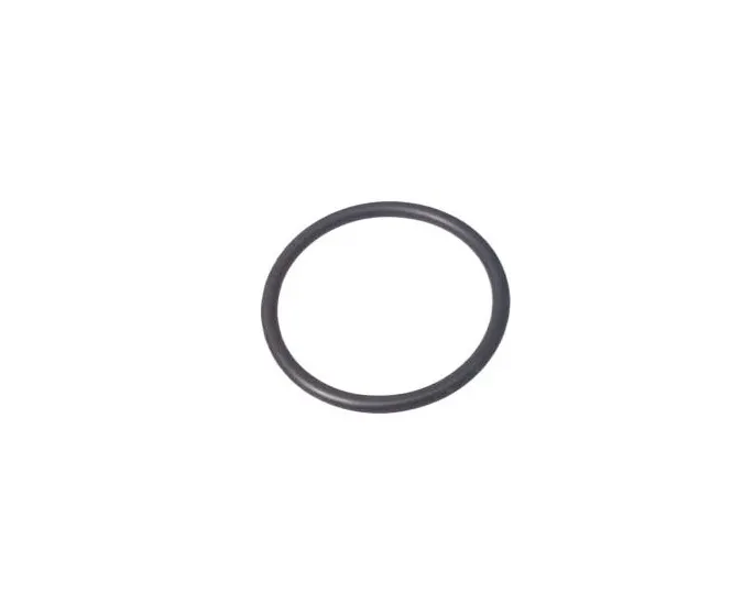 BMW F20 F21 F30 F31 N13 Termostat Oringi 35x3mm 11537618806