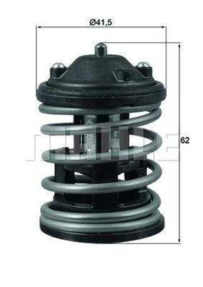 BMW MINI N47 N47N N57 N57N Termostat TX16387D2