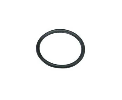 BMW N40 N42 N46 N62 Manyetik Valf Büyük Oringi 34x3.52mm 11367506178