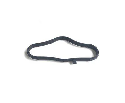 BMW N43 Sübap Kapak Oringi 11127555740