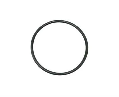 BMW MINI N12 N13 N14 Vakum Pompa Oringi 56x2.75mm 11667566483