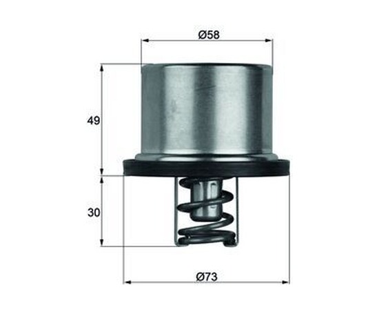 BMW E34 E39 E60 E63 E64 E90 E92 E93 Termostat 79°C THD179