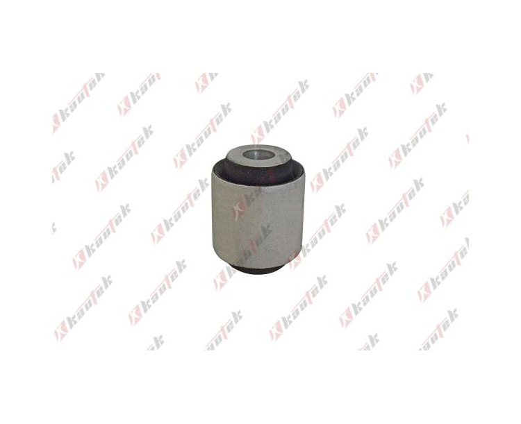 BMW F20 F22 F23 F30 F32 F33 F34 F36 Arka Salıncak Burcu BM-BS113