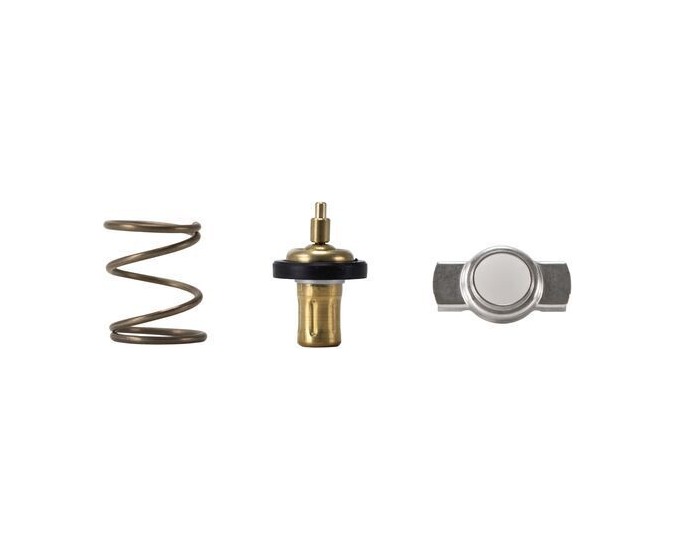 Mercedes Benz C117 W176 W246 W415 X156 M200 OM607 Termostat 83°C TX32883D