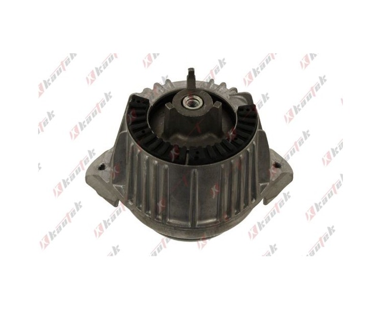 Mercedes Benz C207 C218 W212 OM642 OM651 Motor Takozu ME-EM049