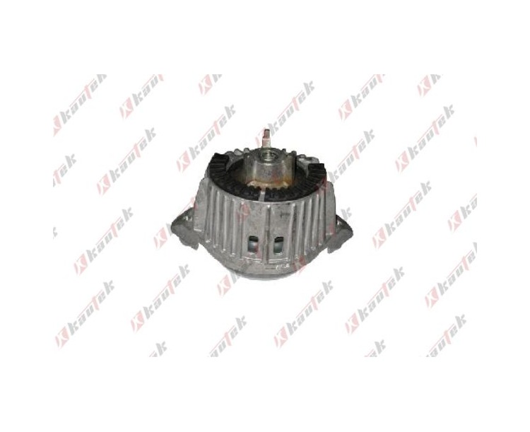 Mercedes Benz C207 C218 W204 W212 OM646 OM651 Motor Takozu Sağ ME-EM024