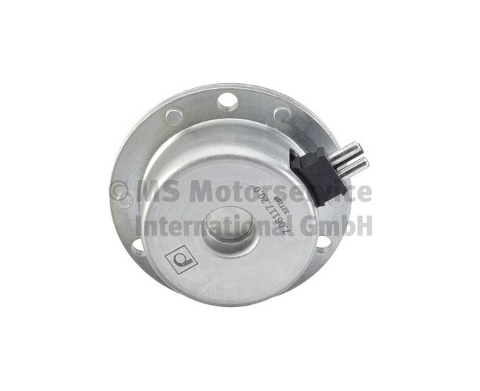 Mercedes Benz M104 M111 M119 M120 Eksantrik Ayar Mıknatısı 7.06117.20.0