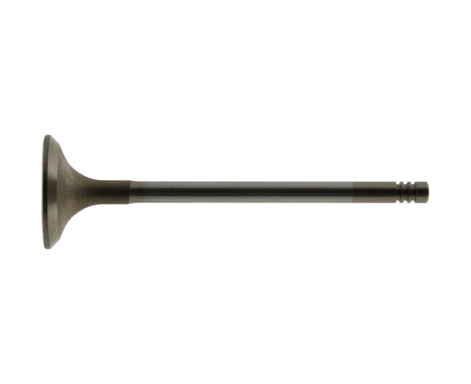 BMW E36 M41 4 Emme + 4 Egzoz Sübabı 0564-0565