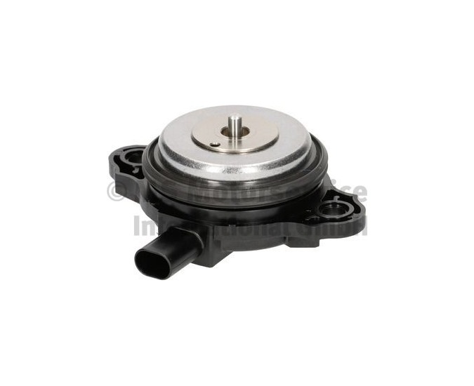 BMW N20 N26 Eksantrik Ayar Mıknatısı 7.06117.29.0